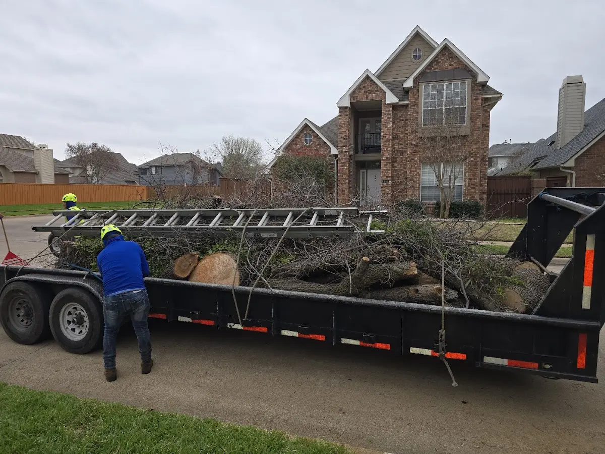 Expert Tree Fertilization with proper safety equipment in Berwind